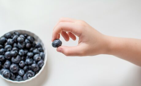 Découvrez que manger quand on a trop de globules rouges pour réduire les risques