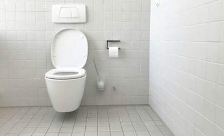 Les étapes à suivre si vous trouvez un vers rouge dans les toilettes