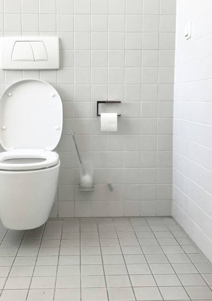 Les étapes à suivre si vous trouvez un vers rouge dans les toilettes